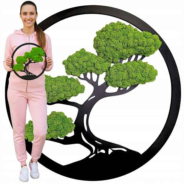 Obraz Z Mechu mech chrobotek Živý Stromek Bonsai na zeď Ozdoba Dekorace