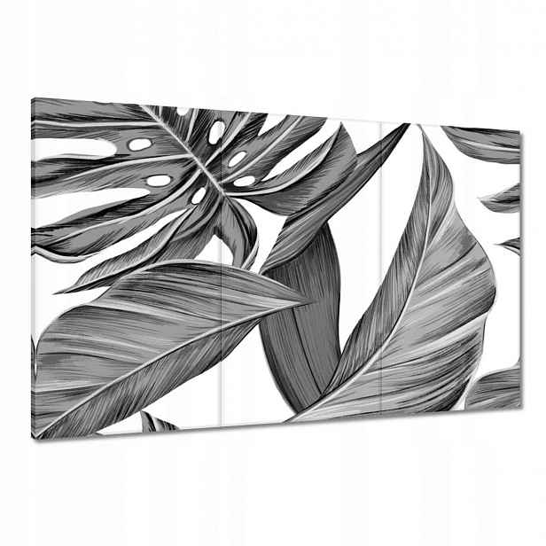 Obrazy 120x80 Monstera v šedé barvě