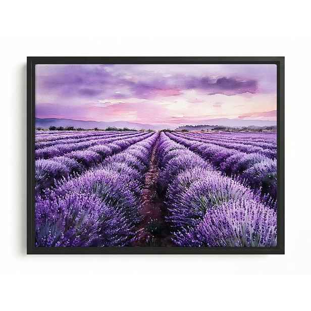 Obraz Rám Americký Box Krajina Pole Plantáž Květiny Levandule Fialová 80x60