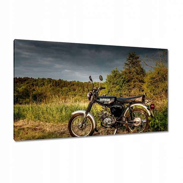 Obrazy 120x70 Černý Simson venku