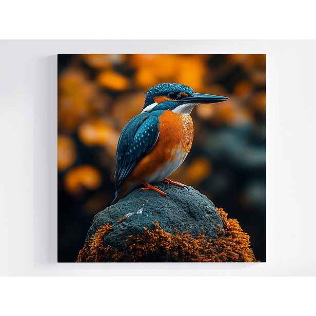 Obraz Na Plátně Obraz Na Plátně Natura Příroda Fauna Pták Králíček Makro 60x60