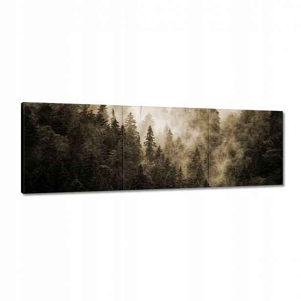 Obrazy 120x40 Krajina Sépie Hory Mlha
