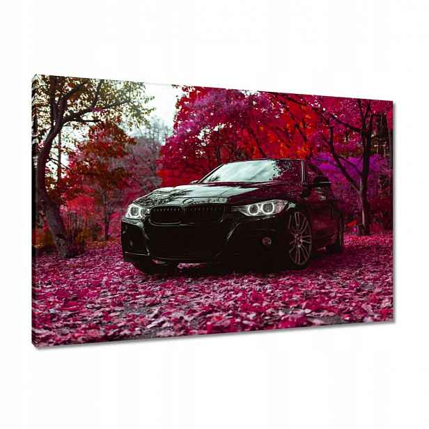 Černé obrazy 90x60 Bmw Podzim