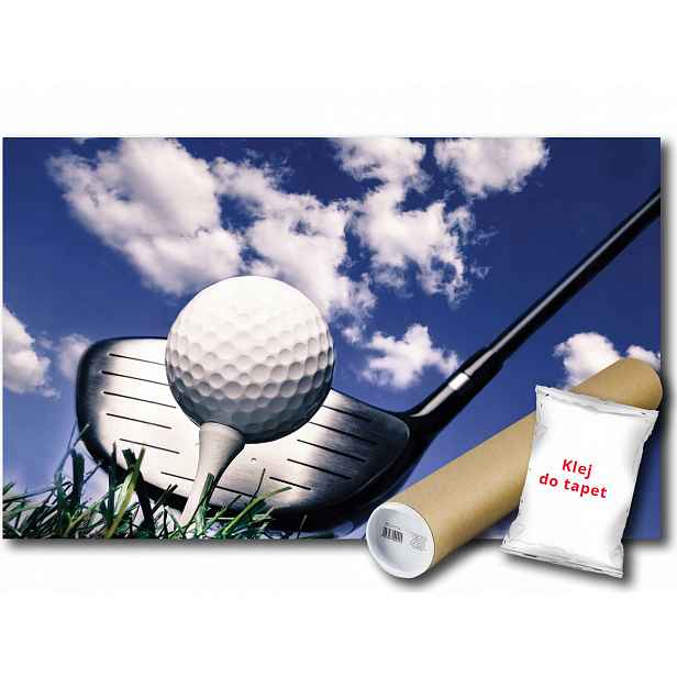 Fototapeta Sport Golf 13A Fxl 208x146 F1622