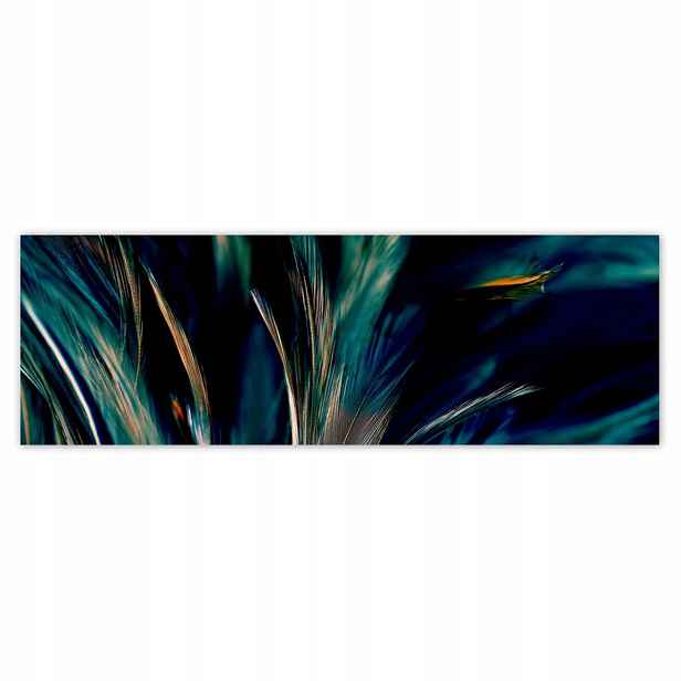 Plakáty 200x66 Měkké peří páva