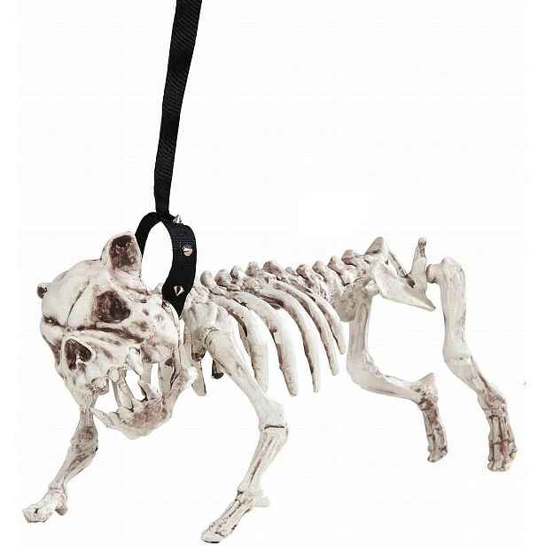 Kostra na Halloween, pes s lanem, 45 cm