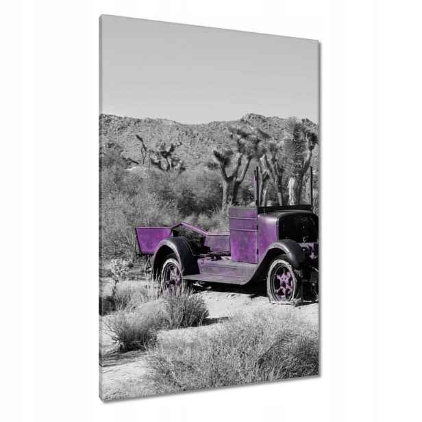 Obrazy 80x120 Fialové ostřelované auto