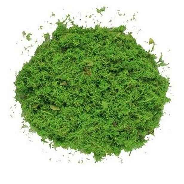 dekorace MECH zelený, 87g, sáček