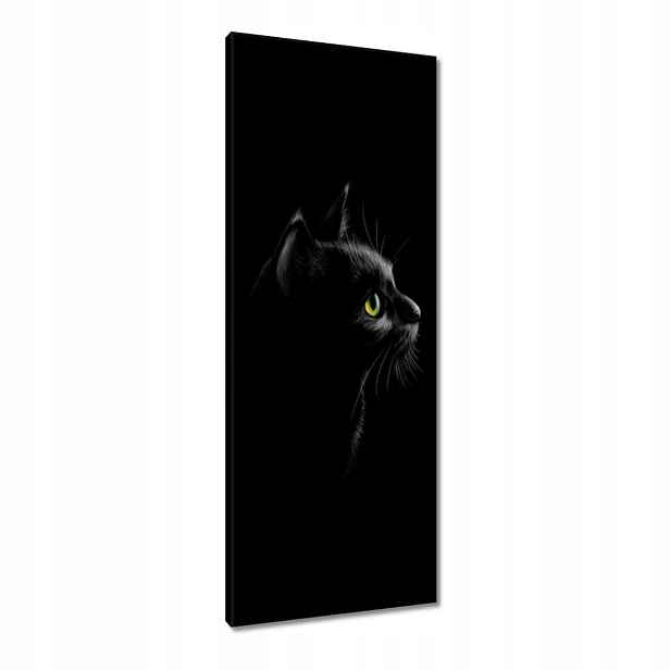 Obrazy 40x100 Černá kočka kočička kočka