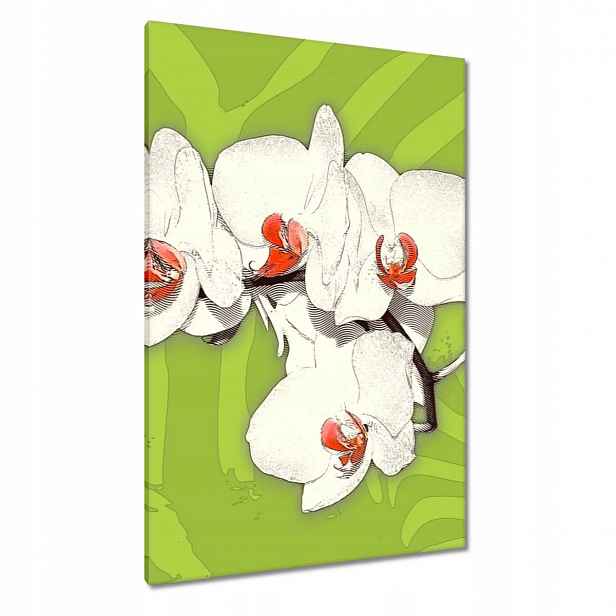 Obrazy 80x120 Limetka a bílý orchidej