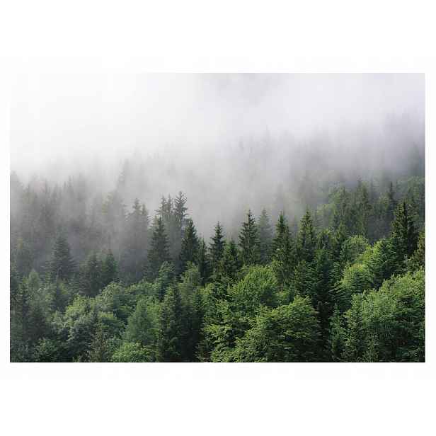 Fototapeta Mlhavý Les Stromy Příroda Pohled 416x254