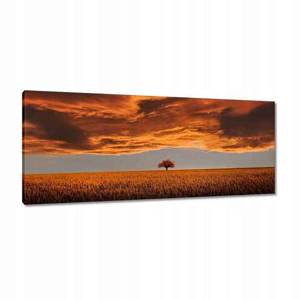 Obrazy 100x40 Oranžové nebe