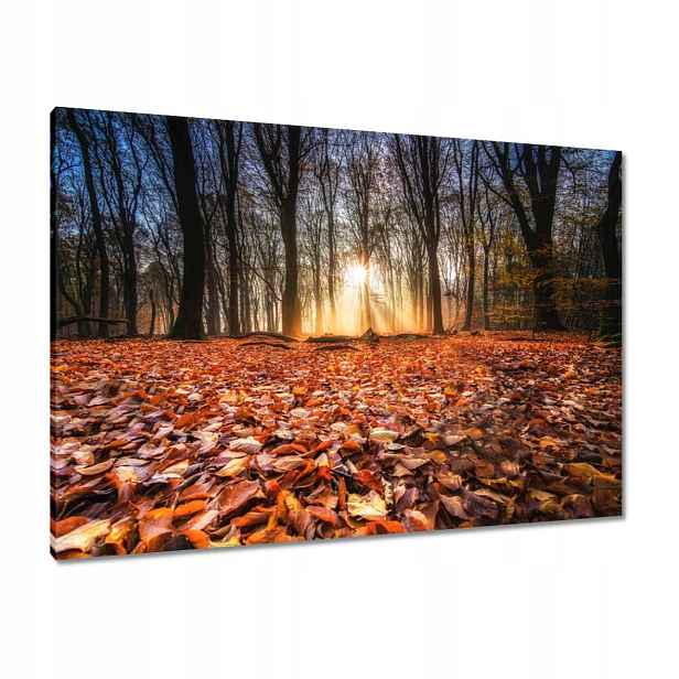 Obrazy 100x70 Podzimní pohled Krajina