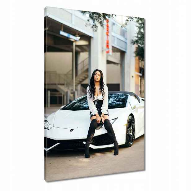 Obrazy 60x90 Laska a bílé auto Fura