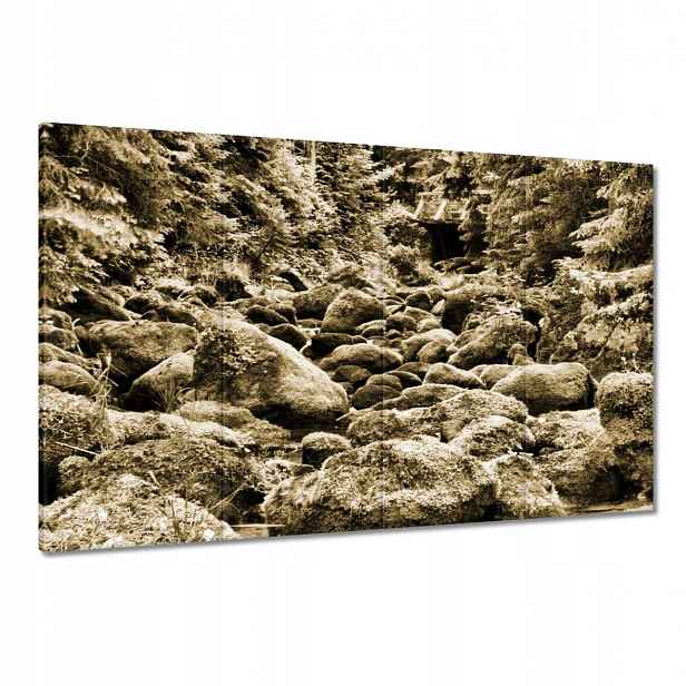 Obrazy 120x80 Tatry Polské hory Pohled