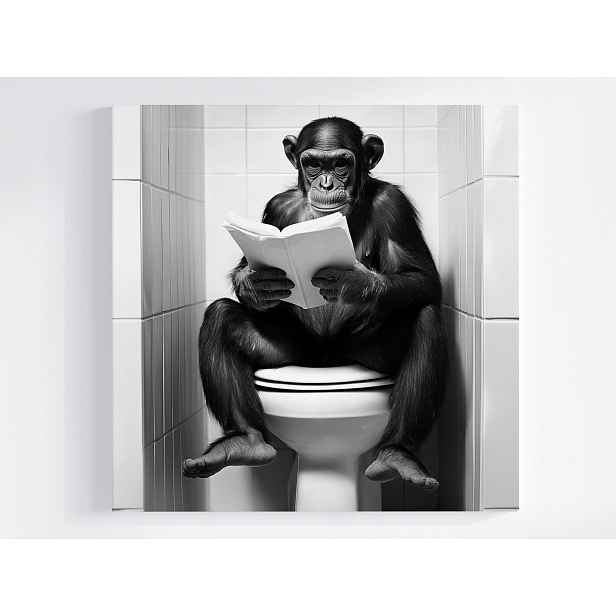 Obraz Na Plátně Canvas Opice Šimpanz Toaleta Wc Kniha Humor Foto 50x50