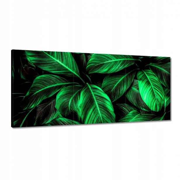 Obrazy 150x70 Zelené listy