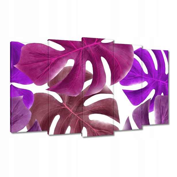 Obrazy 100x60 Monstera Listy Fialová
