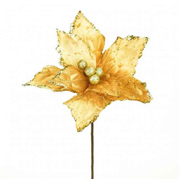 Vánoční květina Ponsetie třpytivá, 25 x 30 cm, šampaň