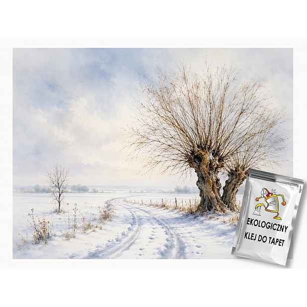 Fototapeta Flizelina Zima Sníh Mráz Cesta Dřevo Vrba 416x290 130g