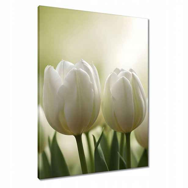 Obrazy 60x80 Bílé tulipány