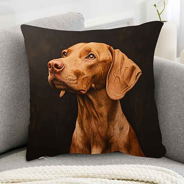 TEMU 1 Retro Styl Potah na Polštář s Maďarského , 45.72x45.72 cm, Ultra Měkká Krátkovlasá Polyesterová Tkanina, Oboustranný Design, Vhodný pro