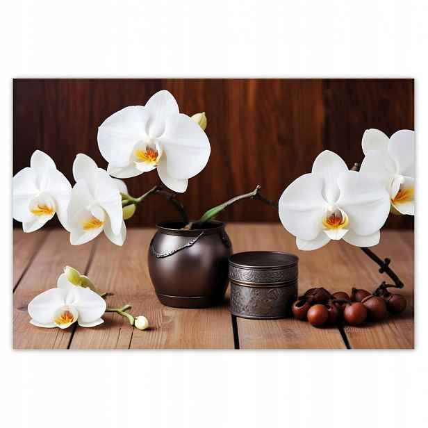 Fototapety 200x135 Bílé orchideje