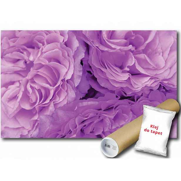 Fototapeta Fialové Květy 9E F2XL 312x219 F657