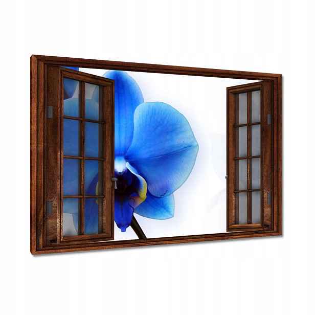 Obrazy 90x60 Modrý orchidej