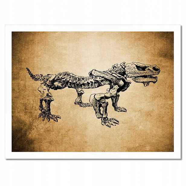 Plakáty v rámu 40x30 Dinosaurus Prehistorie Dino