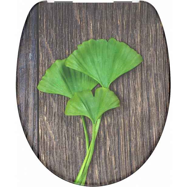 Duroplastové sedátko se zpomalovacím mechanismem SOFT-CLOSE Ginko & Wood