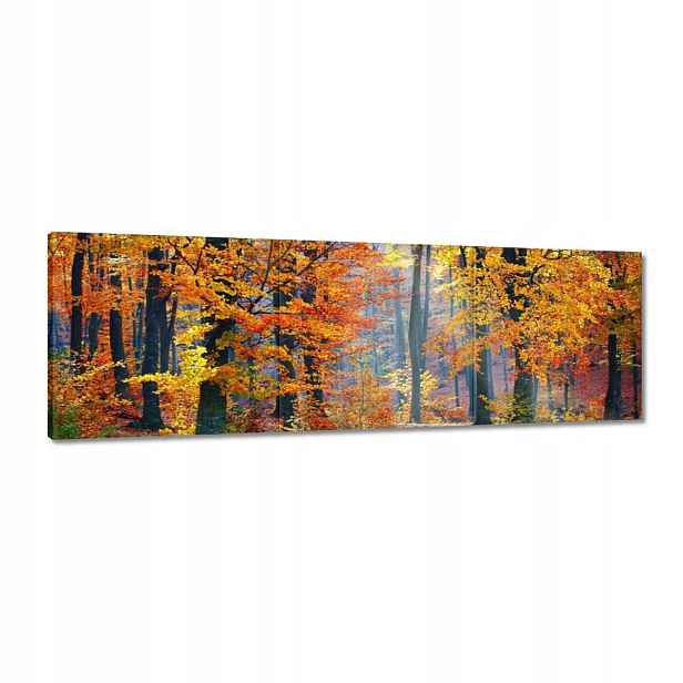 Obrazy 120x40 Zlatý podzim