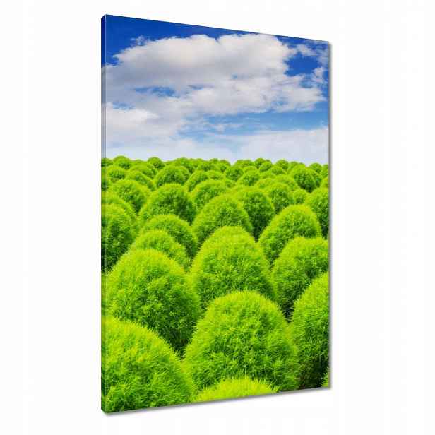Obrazy 60x90 Zelený pohled Dolina