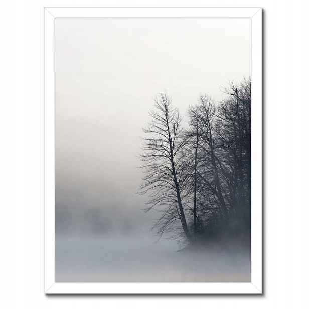 Plakáty v rámu 30x40 Mlžný les Zima