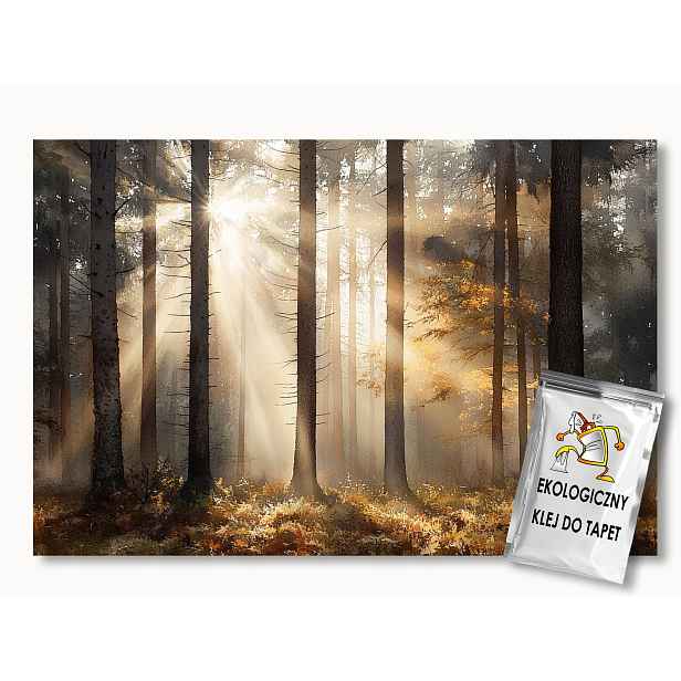 Fototapeta Flizelina Krajina Les Stromy Borovice Slunce Podzim 208x146 130g