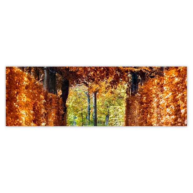 Plakáty 200x66 Krajina Pohled