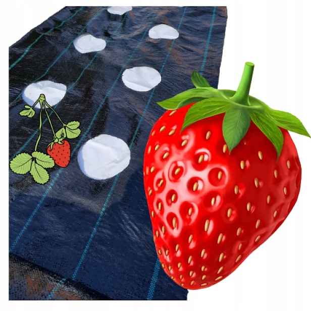 agrotextilie Otvory Pro Jahody Okurky Rajčata 1,1 x 20 m proti Plevelu