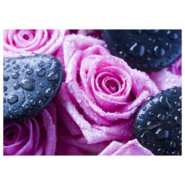 Tapeta Růže kameny rosa Makro příroda elegance jemnost 208x146 lepidlo