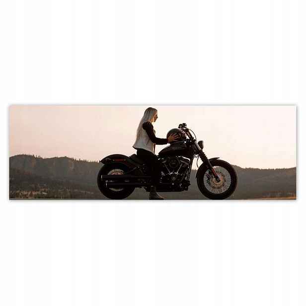 Plakáty 200x66 Harley Davidson Motocykl