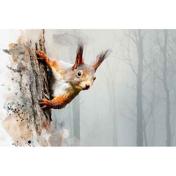 Fototapeta Flizelina Příroda Dřevo Les Park Rudá Veverka 254x184 130g