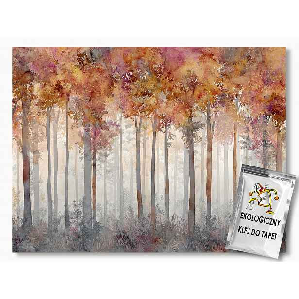 Fototapeta Flizelina Krajina Les Park Stromy Listy Podzim 208x146 130g