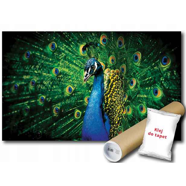 Fototapeta Paw Pawi Ogon 12C F2XL 312x219 F630