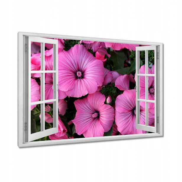 Obrazy 120x80 Fialové květy