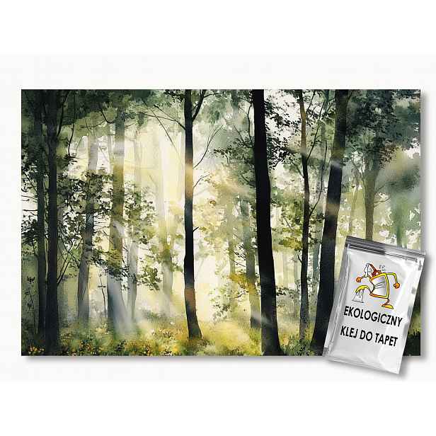 Fototapeta Flizelina Krajina Příroda Les Park Stromy Slunce 368x254 130g