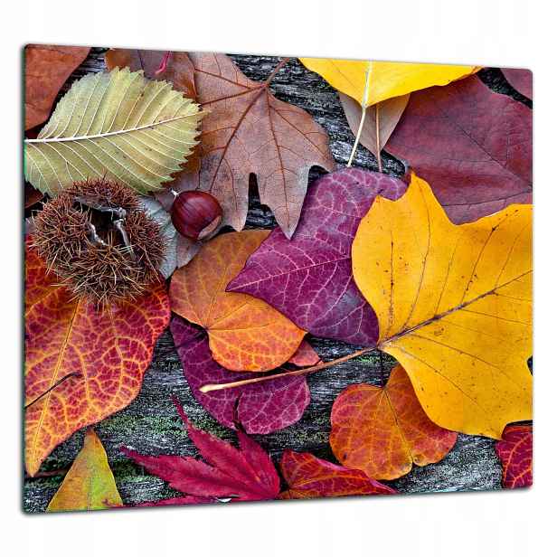 Skleněná Ochranná Deska Panel Lepidlo 65x60 Podzim