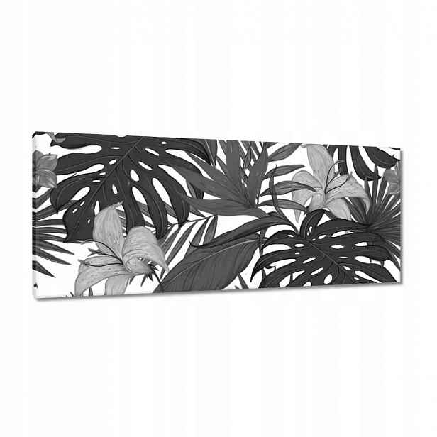 Obrazy 100x40 Černobílá monstera