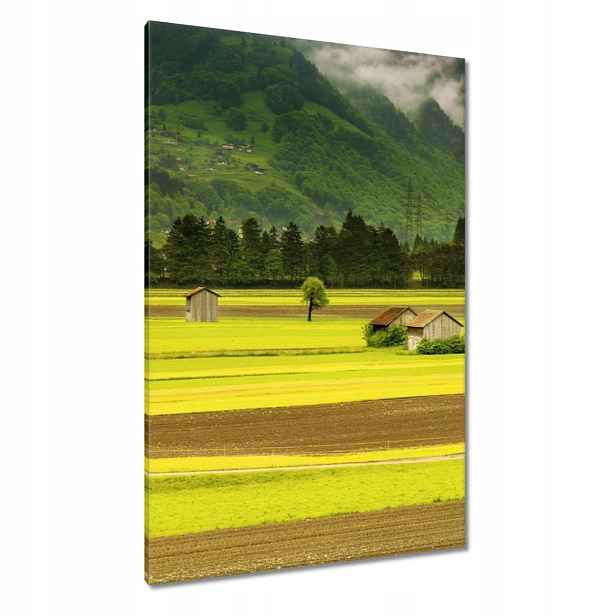 Obrazy 80x120 Zelené lány