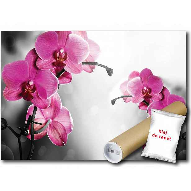 Vinylová fototapeta Orchidej Orchidej 152x104