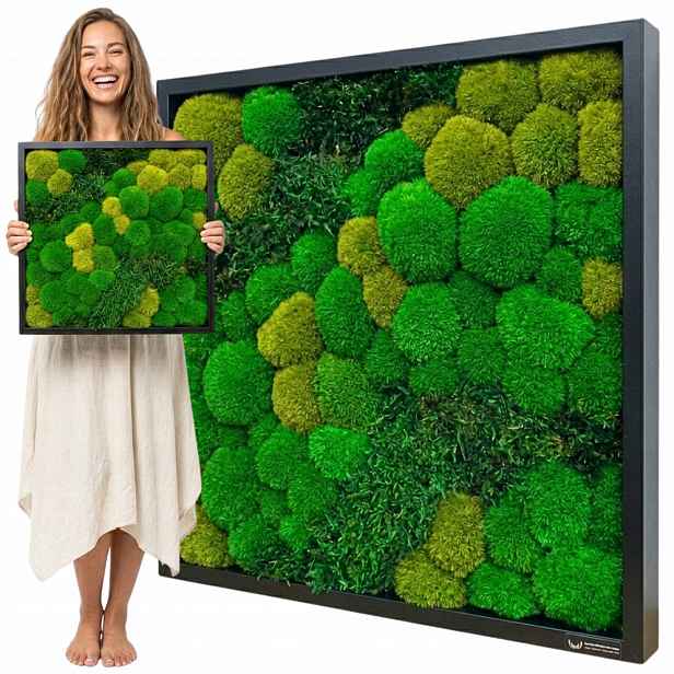 Obraz z polštářového mechu a plochého mechu v černém rámu 50x50 cm Dekorace