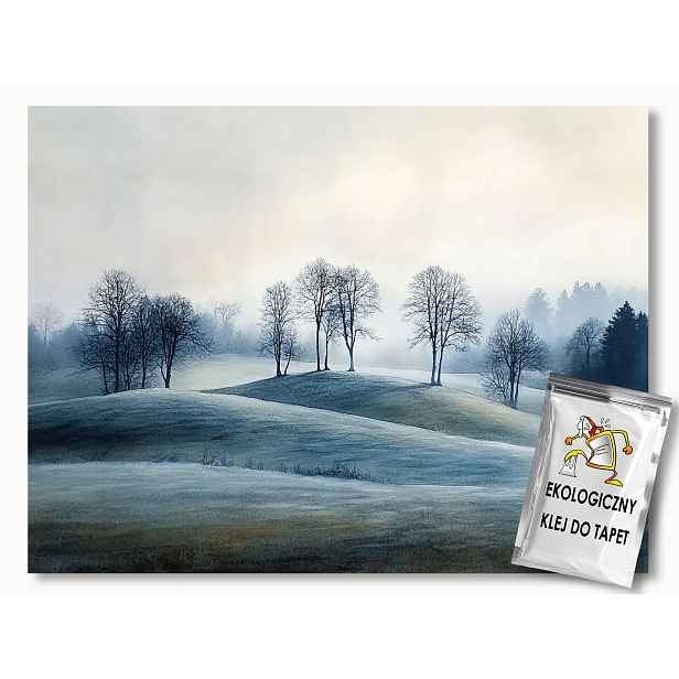 Fototapeta Flizelina Krajina Kopce Pahorky Stromy Mlha Úsvit 368x254 130g